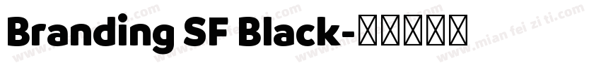 Branding SF Black字体转换